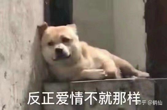 微信最新表情包含義，探索表情背后的故事與情感表達(dá)