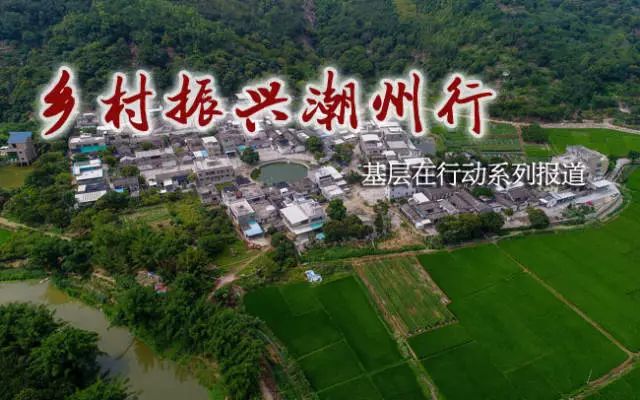牧馬鎮(zhèn)蓮花村最新規(guī)劃，鄉(xiāng)村振興的藍(lán)圖展望