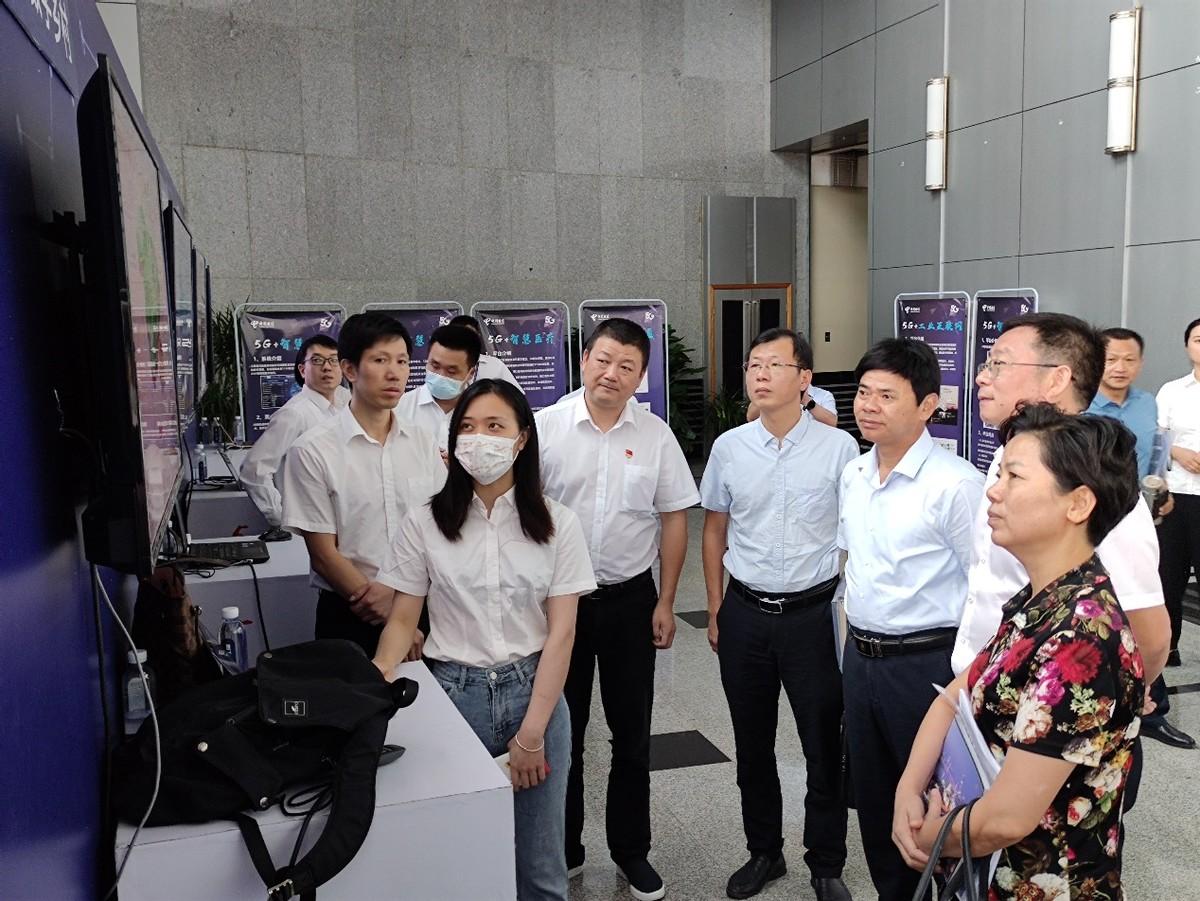 最新鳳凰衛(wèi)視直播源，探索與體驗
