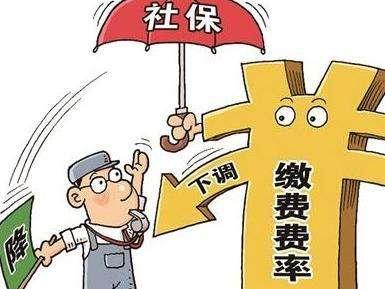 上海最新社?；鶖?shù)
